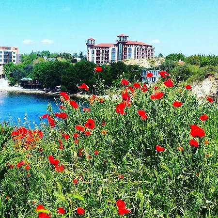 Single Studio In Chateau Del Marina *